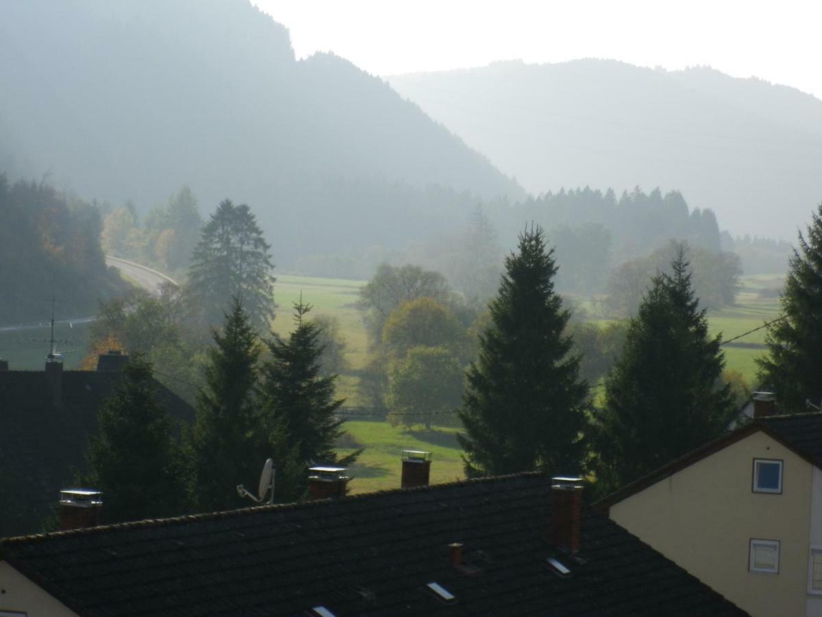 Urseetalblick Wg 7 Lenzkirch Exterior foto
